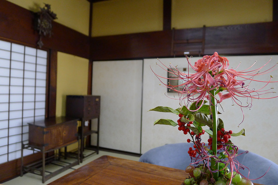 IwateArtProject-MagdaliaSole